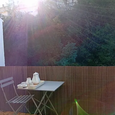 Au Cocon D Aurore Appartement Amélie-les-Bains-Palalda