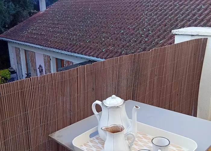 Au Cocon D Aurore Appartement Amélie-les-Bains-Palalda